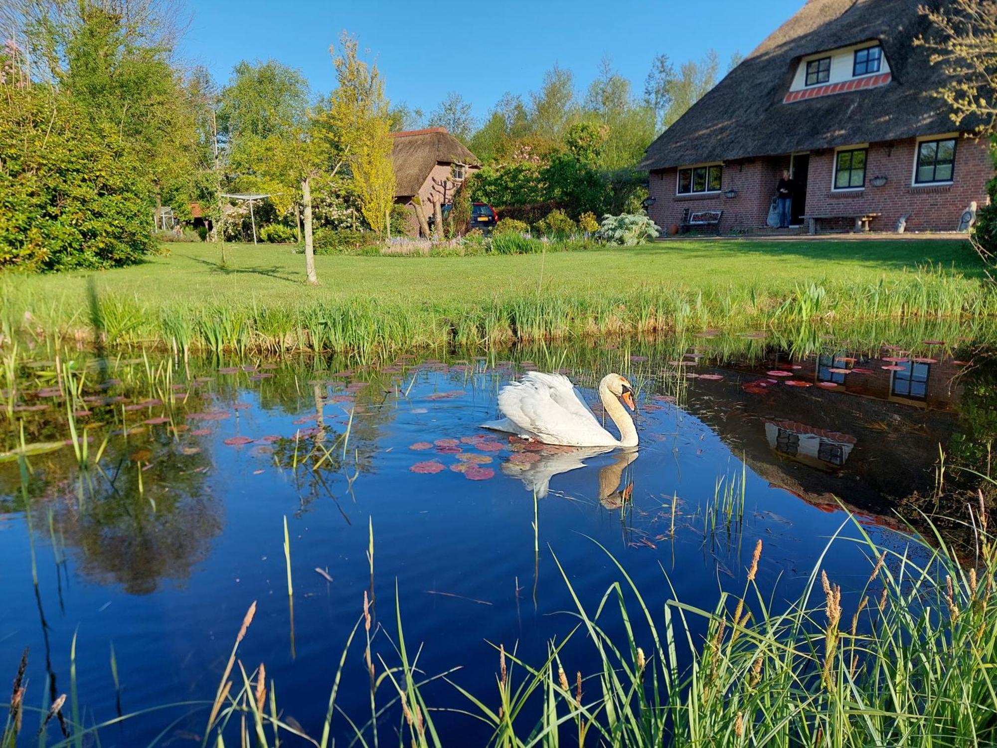 Giethoorn Lodge ภายนอก รูปภาพ